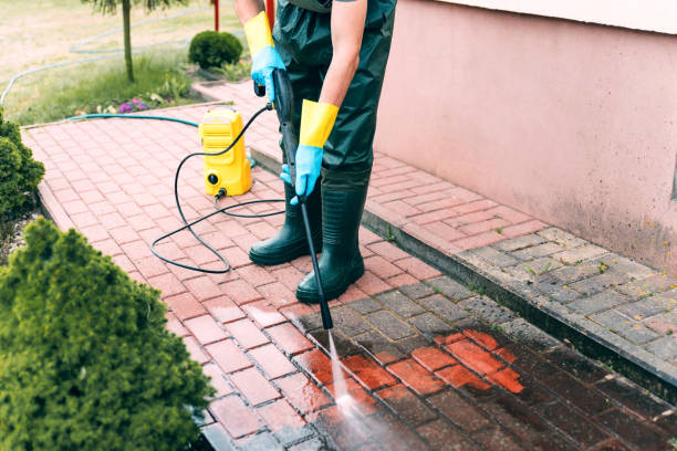 Local Pressure Washing Services in Winona, MS